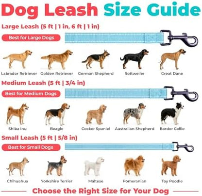 Best Pet Supplies Voyager Nylon Dog Leash - Baby Blue, Small - Image 6