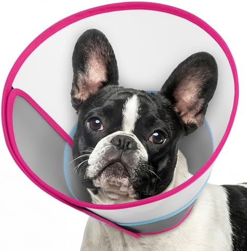 Queenmore Dog Cone Collar Flexible Recovery Cone for Dogs After Surgery, Pet Head Cones Alternative to Stop Licking, Elizabethan Dog Neck Collar Plastic Practical, Rose Red Small by Queenmore