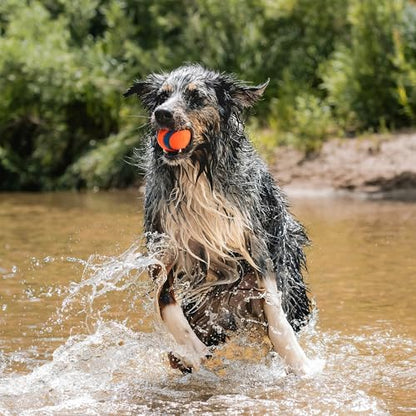 Chuckit! Ultra Ball Dog Fetch Toy, Large 3in, Day and Night 2 Pack, Floats - Image 4