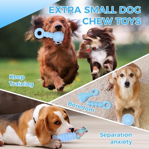 Puppy Toys, 9 Pack Dog Chew Toys for Puppy, Cute Blue Small Dog Toys, Teething Toys for Puppies, Soft Durable Interactive Chew Toy for Small Dogs - Image 7
