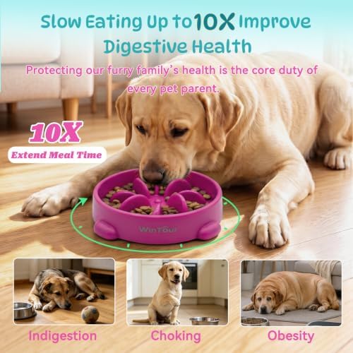 WinTour 2 Pack Slow Feeder Dog Bowls, BPA Free, Medium & Small Dog Bowls - Image 2