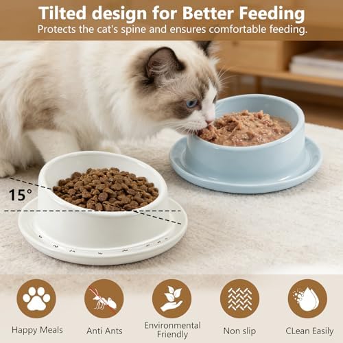Ant Proof No Spill Ceramic Cat Food Bowls,15° Tilted Neck Support,No Spill,Non-Slip Base,Easy Clean Pet Water Dishes for Cat and Small Dog Indoor or Outdoor Use(2 Pack) - Image 4