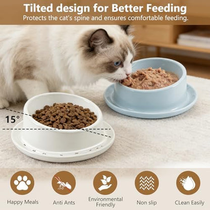Ant Proof No Spill Ceramic Cat Food Bowls,15° Tilted Neck Support,No Spill,Non-Slip Base,Easy Clean Pet Water Dishes for Cat and Small Dog Indoor or Outdoor Use(2 Pack) - Image 4
