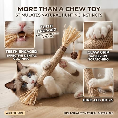 Cat Toys 12PCS Mix Catnip Chew Rope Silvervine Stick for Indoor Cat - Image 2