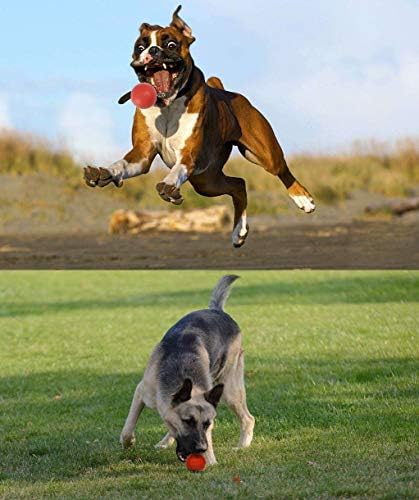 Sunglow Durable Dog Ball for Chewing & Training, Tough Indestructible Dog Chew Toy, Solid Rubber Bouncy Ball, Cleans Your Dog's Teeth & Improves Mental Health - Image 5