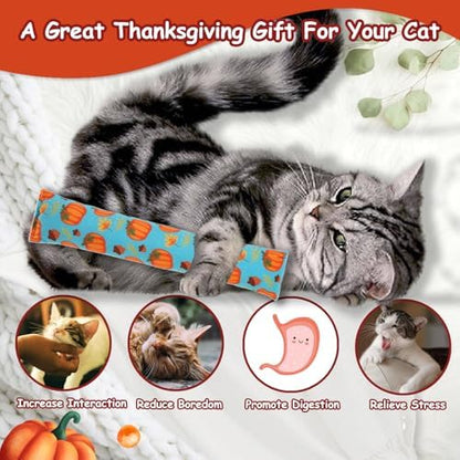 KOOLTAIL Cat Catnip Toys for Thanksgiving, 3 Pack Durable Soft Kicker Toy Filled with Natural Catnip, Interactive Bite Resistant Chew Teeth Cleaning Gift for Indoor Cats Kitten - Image 5