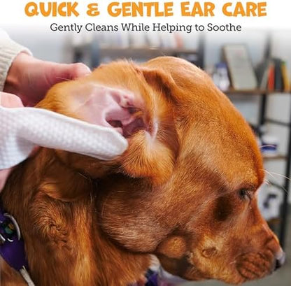 Pack Approved Finger Ear Wipes for Dogs with Aloe Vera & Eucalyptus - 50ct - Image 2