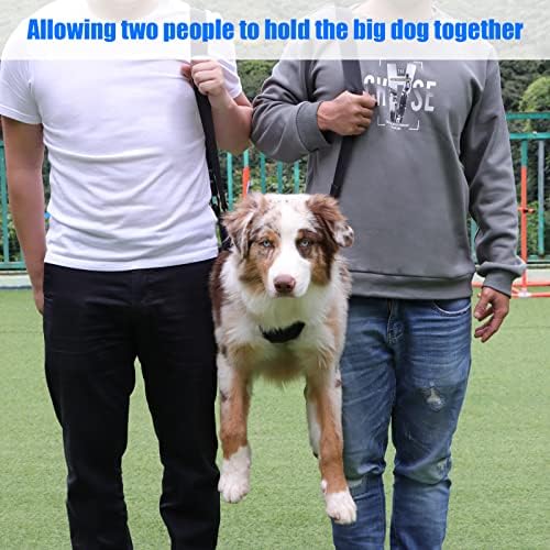 Dog Carry Sling, Emergency Backpack Pet Legs Support & Rehabilitation Dog Lift Harness for Large Dogs, Dog Carrier for Senior Dogs Joint Injuries, Arthritis, Up and Down Stairs (Blue, XXL) - Image 3