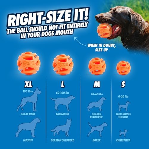 Chuckit! Air Fetch Ball, Large 3in, for Dogs 60-100lbs, 1 Pack - Image 6