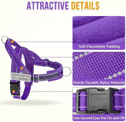 SlowTon No Pull Dog Harness and Leash Set - Heavy Duty, Soft Padded - Image 3