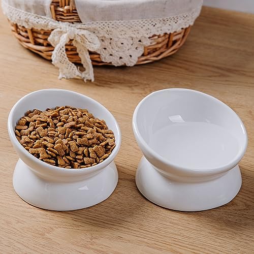 Elevated Ceramic Cat Bowl, 15° Tilted Raised Food & Water Dishes, Anti-Vomiting & Neck Protection Pet Feeder for Kittens, Small Dogs (5.2", White, 2pc Set) - Image 5