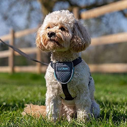 CarSafe Dog Travel Car Harness | Size XS - Image 3