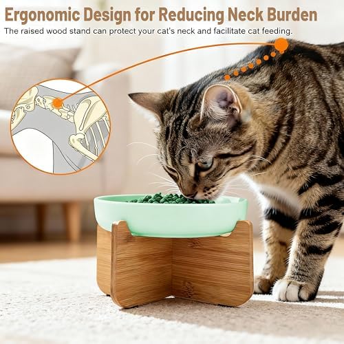 Shallow Elevated Cat Bowls with Bamboo Stand, 6.1 Inch Wide Ceramic Cat Dish Whisker Friendly, 2 Pack Pet Food and Water Plates - Image 3