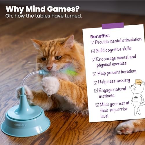 Catstages 2-in-1 Spring Teaser Cat Toy – Bouncy Interactive Cat Ball Track Add-On with Feathers & Bells, Blue - Image 6