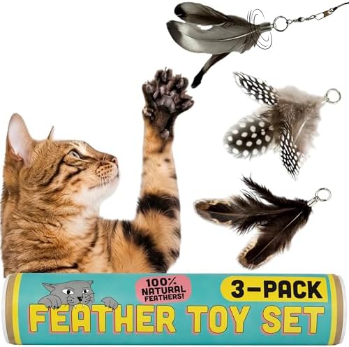 Cat Feather Toy Refill 3-Pack, Natural Feather Cat Toys for Kittens & Bored Indoor Cats, Small Cat Wand Attachments, Feather Replacement for Forever Stick Cat Wand, Cat Wand Refill by Repounce