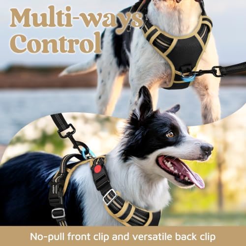 rabbitgoo Dog Harness Small Sized, No Pull 3 Buckles Easy On & Off - Image 3
