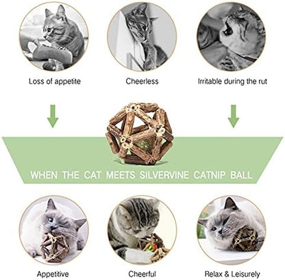 Gochanmon Catnip Toys-2Pcs Natural Silvervine Stick Catnip Ball&Bell Ball-Cat Toys for Indoor Cats- Cleaning Teeth Molar Tools Matatabi Cat Chew Toy-Kitten Toys All Breeds - Image 3