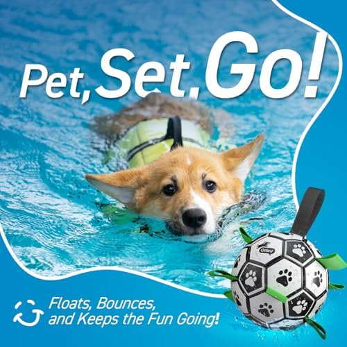 QDAN Dog Soccer Balls with Bell Inside, Squeaky Dog Balls, Birthday Gifts - Image 3