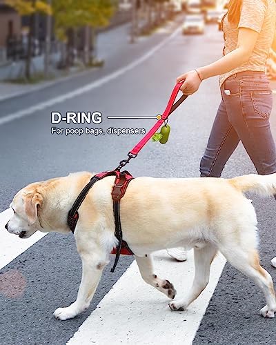 Joytale Short Dog Leash for Close Control & Training, 12", Red - Image 6