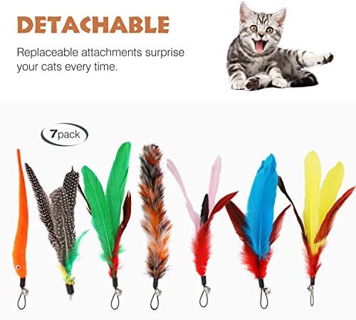 Pawaboo Interactive Cat Toys for Indoor Cats, Cat Wand Toys - Image 3