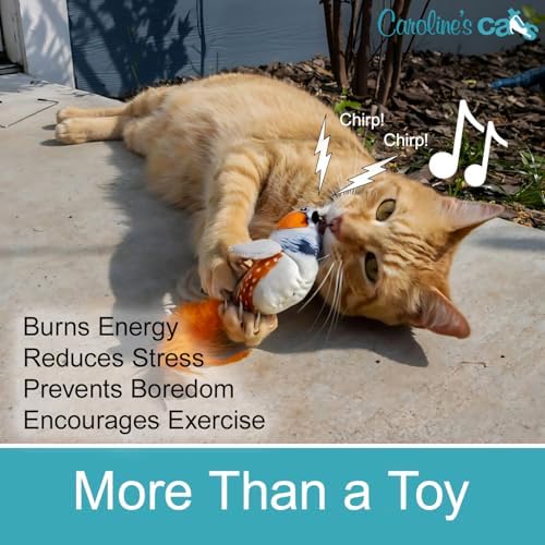 Hanging Bird Cat Toy for Indoor Cats, Motion Activated Chirping with Catnip - Image 6