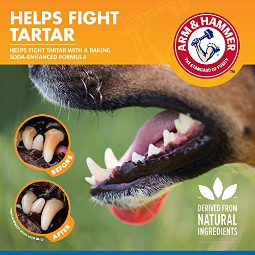 Arm & Hammer Clinical Care Dental Rinse for Dogs, 16 Fl Oz - Image 3