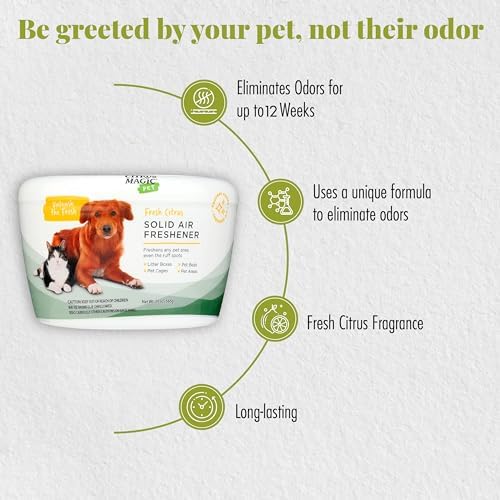 Citrus Magic Pet Solid Air Fresheners, Fresh Citrus, 20 Ounce, Pack of 2 - Image 4