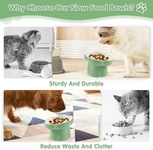 Cat Slow Feeder Bowl Set,1 Pcs Pastel Series Cat Plate for Dry and Wet Food - Image 3