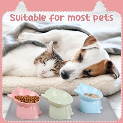 3 Pcs Raised Cat Bowl 15° Elevated Cat Food Bowl Tilted Cats Bowls,3 Colors - Image 5