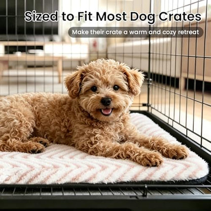 Mora Pets Cat Beds for Indoor Cats Washable Cat Mat Bed Flat Dog Crate Pad - Image 3