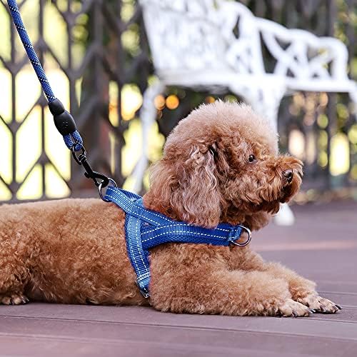 Plutus Pet No Pull Dog Harness for Puppy Small Dogs, Breathable Mesh Padded - Image 5