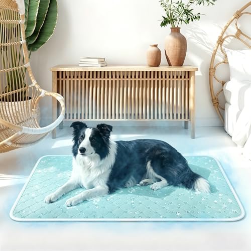 Cooling Mat for Dogs Cats,Pet Dog Cooling Mat Blanket for Dogs,36x24, Blue by Yungaspy