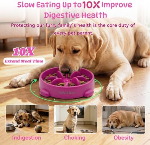 WinTour Slow Feeder Dog Bowls for Small Medium Pets, Round PP Dish, 1 Pack - Image 2