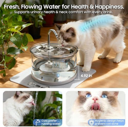 Glass Cat Water Fountain 70oz Dishwasher Safe Pet & Dog Fountain - Image 3