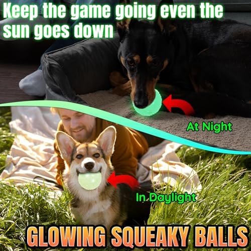 LECHONG 4-Pack 2.5” Glow in The Dark Squeaky Dog Balls, Durable Glowing Bouncy Rubber Fetch Toy Balls for Small Medium Puppy Dogs Nighttime Playing Indoors and Outdoors - Image 2