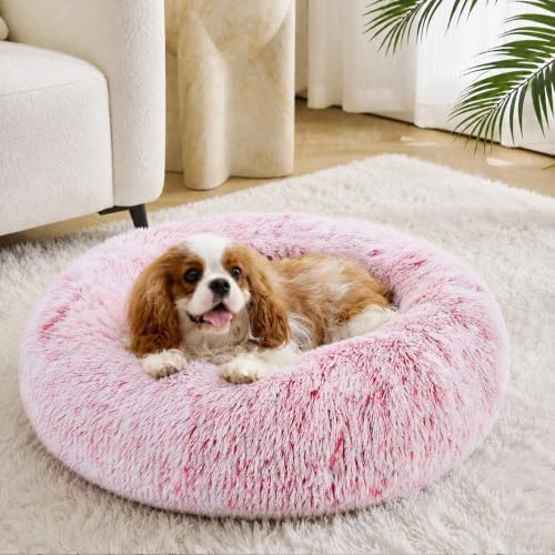 JOLLYVOGUE Calming Small Pink Dog & Cat Bed for Indoor Cats - 20 inches Washable Donut Bed for Kittens & Puppies, Anti-Anxiety Round Fluffy Plush Pet Beds (Fits up to 15 lbs, Smoke Pink) by JOLLYVOGUE