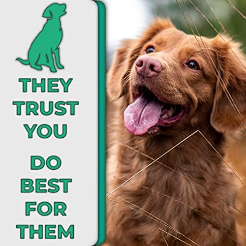 H&H Pets Dog Toothbrushes and Toothpaste Best Professional Cats & Dogs Finger Dental Brush, Dog Brush Set, Perfect for Dogs and Cats, Dog Supplies - Size Small 4 Count 3.5 Oz Toothpaste (100g) - Image 6