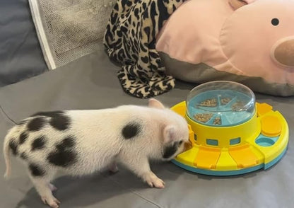Piggy Poo and Crew Treat Popper Slow Feeder Interactive Food Dispenser Puzzle Game for Dogs Puppies Rabbits Pigs Small Animals