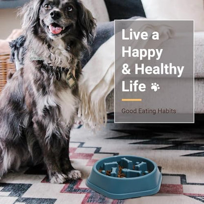 ASEVAT 2 Pack Slow Feeder Dog Bowls, Anti-Choking Puzzle Dog Food Bowls for Slower Eating, Personalized Dog Bowls for Medium Dogs and Cats, Prevents Overeating, Puppy Training (Blue+Yellow) - Image 6
