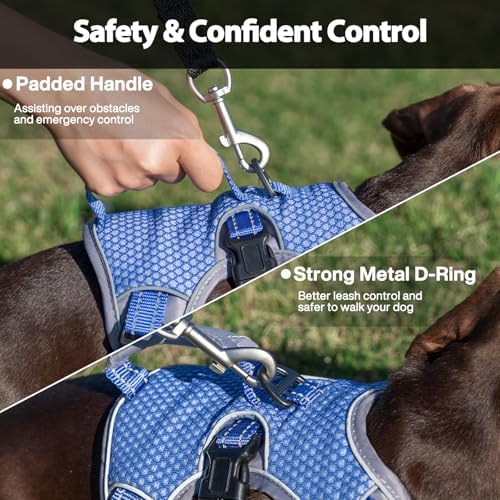 Huntboo Escape Proof Dog Harness, Dachshund Harness, Reflective Dog Harness with Handle, Durable,Adjustable Vest for Small Medium Large Dogs Walking, Training, and Running Gear (Technicolor Blue,XL) - Image 4