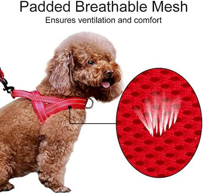Plutus Pet No Pull Dog Harness for Medium Sized Dog, Breathable Mesh Padded - Image 3