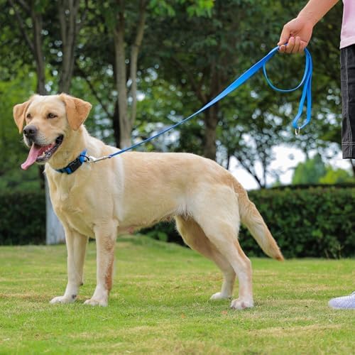 Waterproof Dog Leash, 5/6 FT Durable Odor-Proof Dog Leashes with Strong Metal Hooks Fits Small Medium or Large Dogs (Blue, 6FT - 1 inch Width) - Image 6
