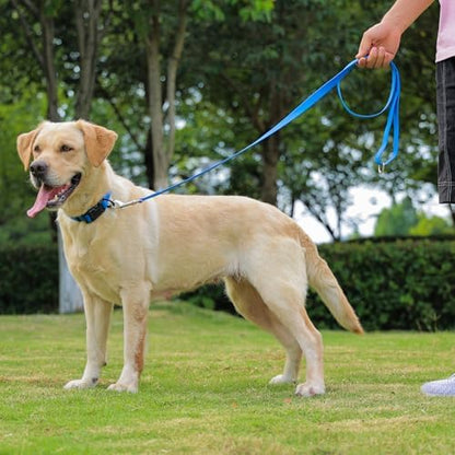Waterproof Dog Leash, 5/6 FT Durable Odor-Proof Dog Leashes with Strong Metal Hooks Fits Small Medium or Large Dogs (Blue, 6FT - 1 inch Width) - Image 6