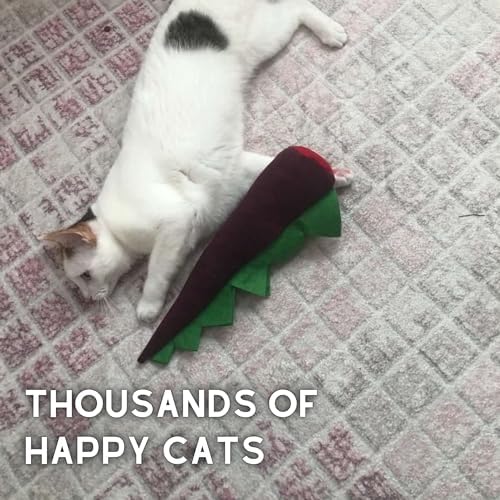 pawdaz Large Cat Toy Dino, Catnip Matatabi Silvervine Filled Help Relief Stress Interactive Indoor Cat Kicker with Bell and Smell (Purple) - Image 4