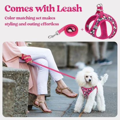 rabbitgoo Dog Harness Small Sized and Leash Set, Step-in Puppy Pet Vest - Image 6