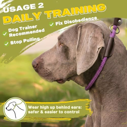 Fida Durable Slip Lead Dog Leash, 4 FT x 1/2" Dog Training Leash, Purple - Image 5
