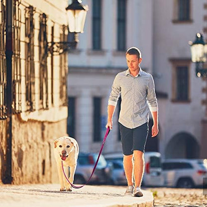 PetiFine 5FT Heavy Duty Dog Leash with Soft Padded Double Handle - Image 6