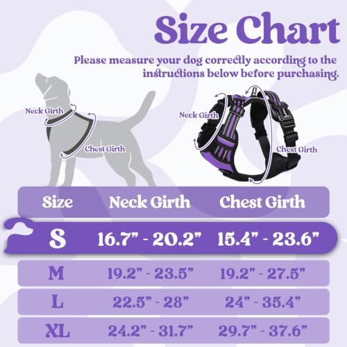 rabbitgoo Dog Harness Small Sized, Updated Easy On & Off with 3 Buckles - Image 2