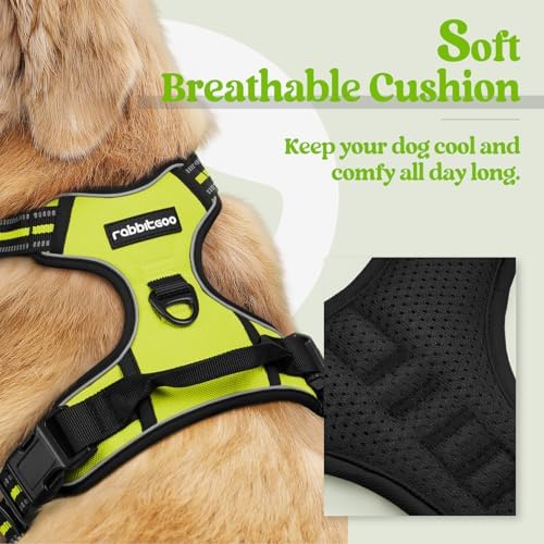rabbitgoo Dog Harness, No Pull Medium Sized with 2 Leash Clips, Pet Vest - Image 2