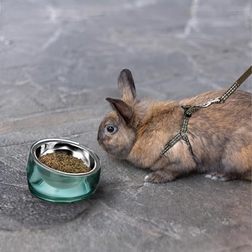 Felli Oblik 15° Tilted Small Animal Bowls for Pet Food & Water 6 oz Stainless Steel Dish Removable, Slanted Metal Plate Feeder for Kitten Puppy Rabbit Bunny Guinchilla Pig (0.75 Cups, Classic) - Image 6
